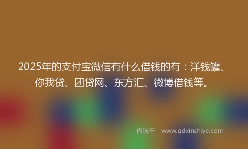 2025年的支付宝微信有什么借钱的有：洋钱罐、你我贷、团贷网、东方汇、微博借钱等。