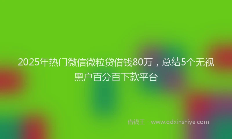 2025年热门微信微粒贷借钱80万，总结5个无视黑户百分百下款平台