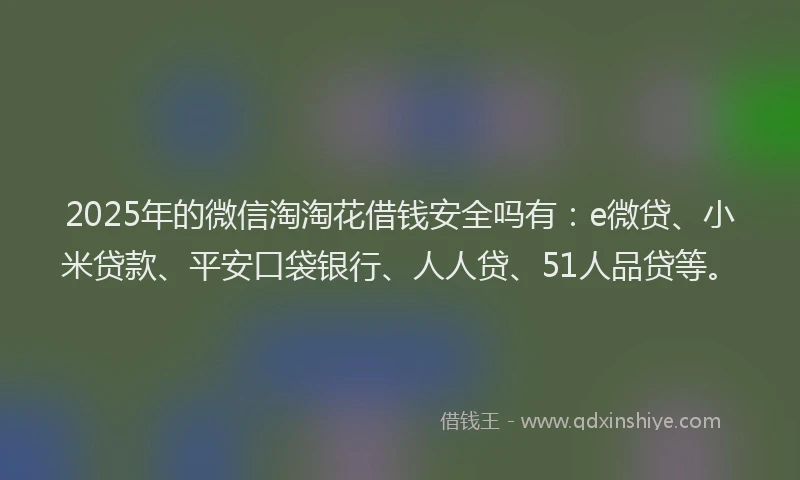 2025年的微信淘淘花借钱安全吗有：e微贷、小米贷款、平安口袋银行、人人贷、51人品贷等。