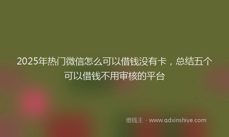 2025年热门微信怎么可以借钱没有卡，总结五个可以借钱不用审核的平台