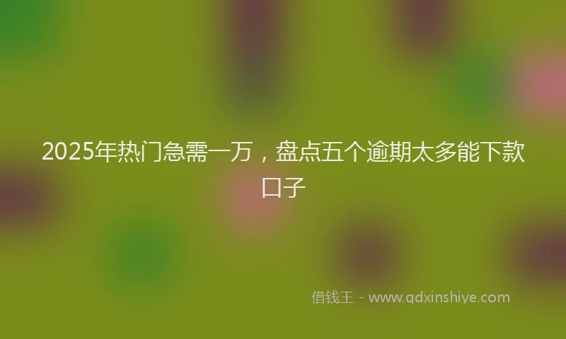 2025年热门急需一万，盘点五个逾期太多能下款口子