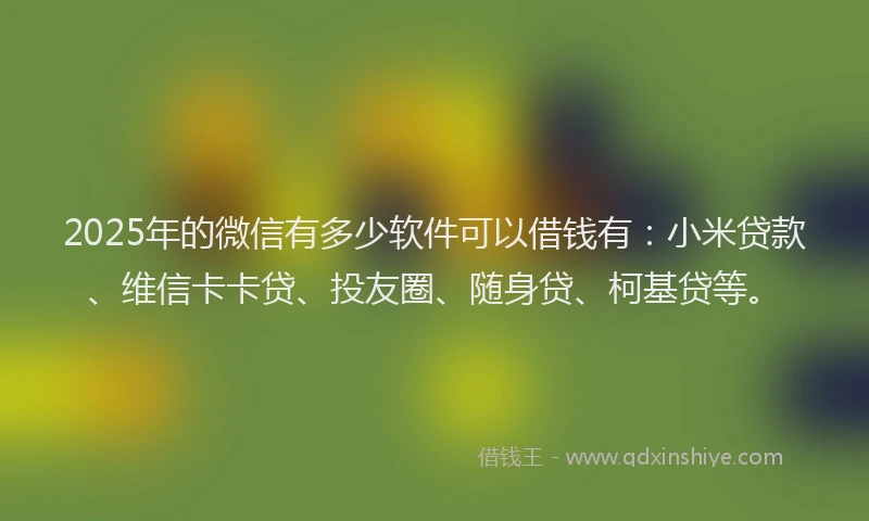 2025年的微信有多少软件可以借钱有：小米贷款、维信卡卡贷、投友圈、随身贷、柯基贷等。