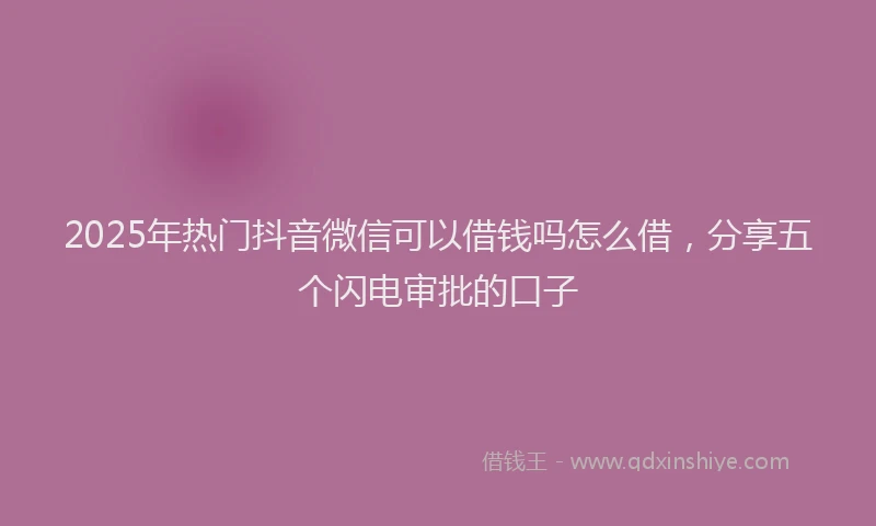 2025年热门抖音微信可以借钱吗怎么借，分享五个闪电审批的口子