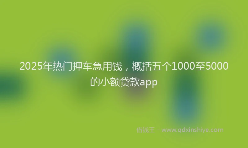 2025年热门押车急用钱，概括五个1000至5000的小额贷款app