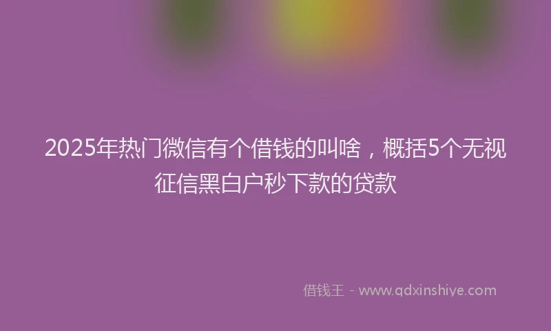 2025年热门微信有个借钱的叫啥，概括5个无视征信黑白户秒下款的贷款