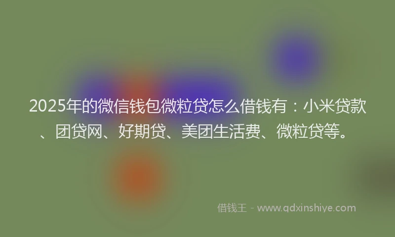 2025年的微信钱包微粒贷怎么借钱有：小米贷款、团贷网、好期贷、美团生活费、微粒贷等。