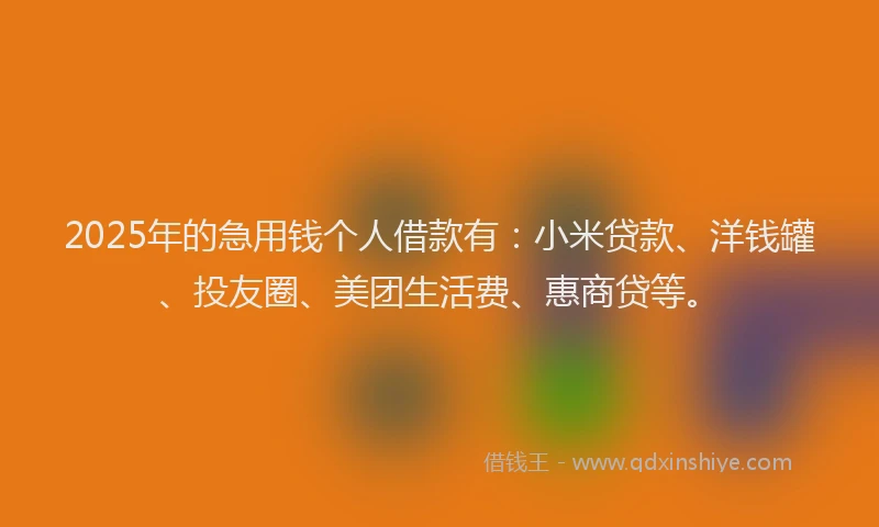 2025年的急用钱个人借款有：小米贷款、洋钱罐、投友圈、美团生活费、惠商贷等。