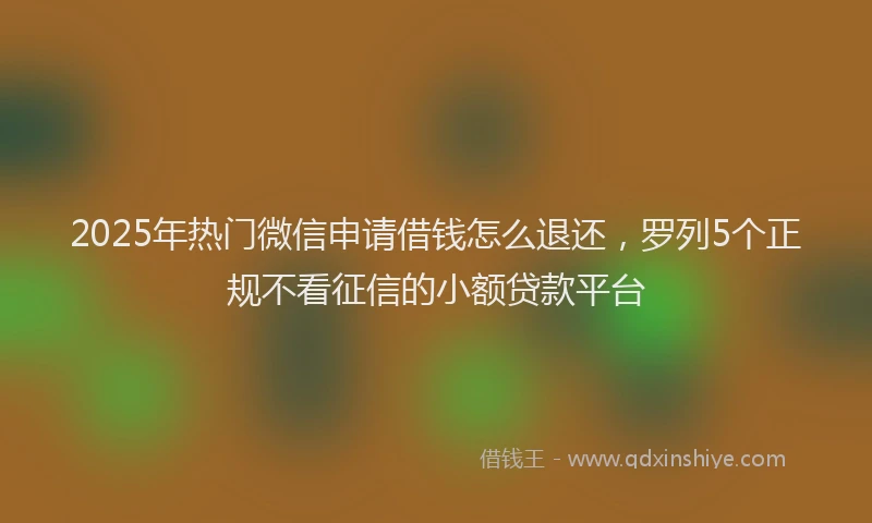 2025年热门微信申请借钱怎么退还，罗列5个正规不看征信的小额贷款平台