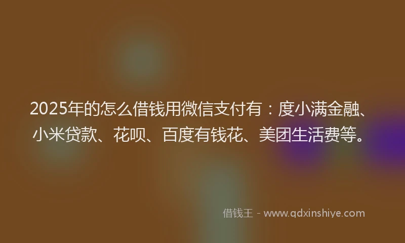 2025年的怎么借钱用微信支付有：度小满金融、小米贷款、花呗、百度有钱花、美团生活费等。