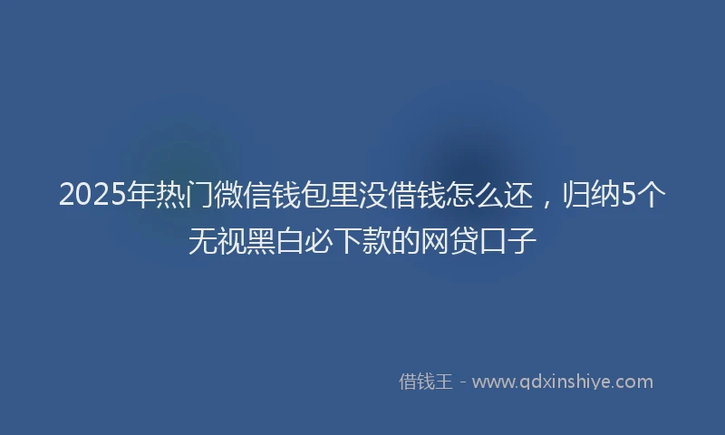2025年热门微信钱包里没借钱怎么还，归纳5个无视黑白必下款的网贷口子