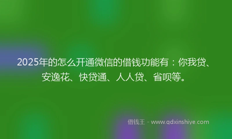 2025年的怎么开通微信的借钱功能有：你我贷、安逸花、快贷通、人人贷、省呗等。