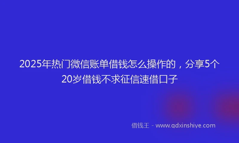 2025年热门微信账单借钱怎么操作的，分享5个20岁借钱不求征信速借口子