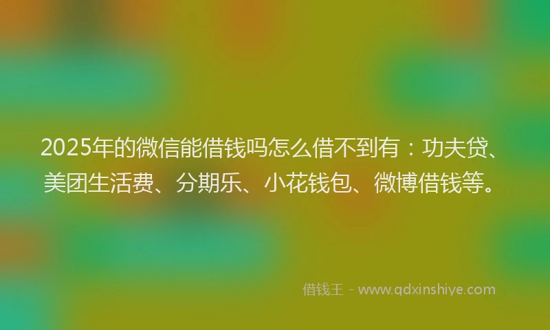 2025年的微信能借钱吗怎么借不到有：功夫贷、美团生活费、分期乐、小花钱包、微博借钱等。