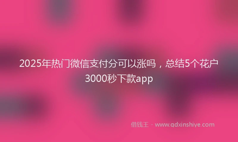 2025年热门微信支付分可以涨吗，总结5个花户3000秒下款app