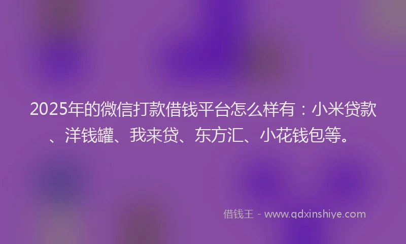 2025年的微信打款借钱平台怎么样有：小米贷款、洋钱罐、我来贷、东方汇、小花钱包等。