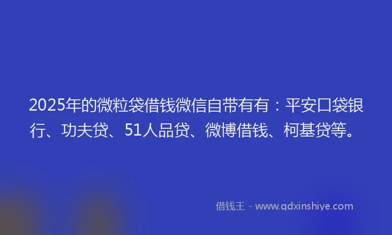 2025年的微粒袋借钱微信自带有有：平安口袋银行、功夫贷、51人品贷、微博借钱、柯基贷等。