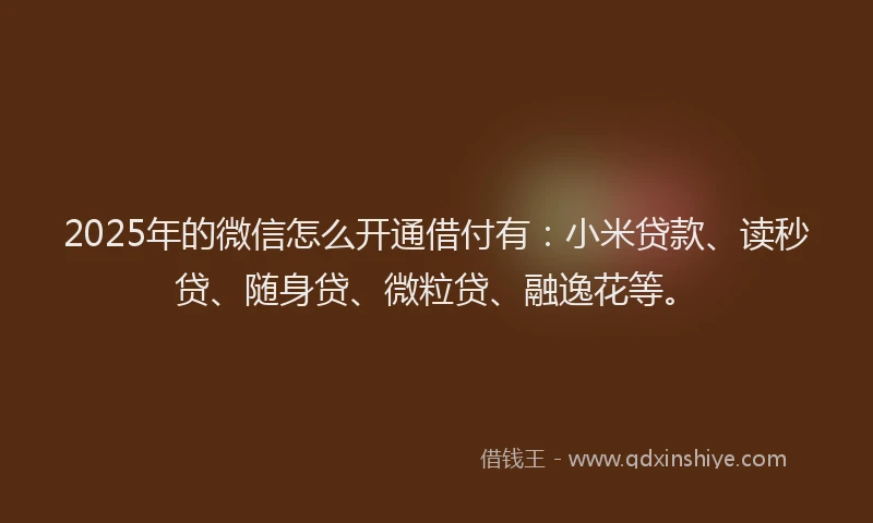 2025年的微信怎么开通借付有：小米贷款、读秒贷、随身贷、微粒贷、融逸花等。