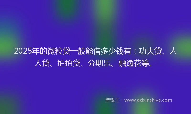 2025年的微粒贷一般能借多少钱有：功夫贷、人人贷、拍拍贷、分期乐、融逸花等。