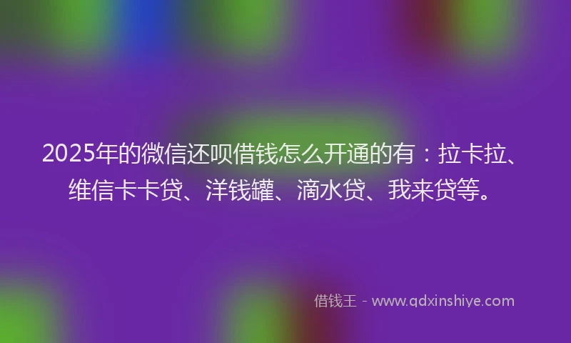 2025年的微信还呗借钱怎么开通的有：拉卡拉、维信卡卡贷、洋钱罐、滴水贷、我来贷等。
