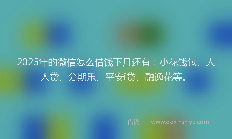 2025年的微信怎么借钱下月还有：小花钱包、人人贷、分期乐、平安i贷、融逸花等。