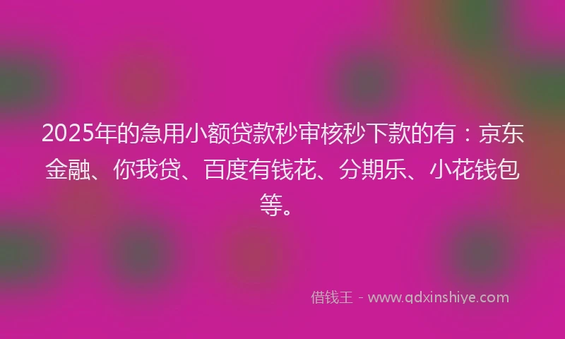 2025年的急用小额贷款秒审核秒下款的有：京东金融、你我贷、百度有钱花、分期乐、小花钱包等。