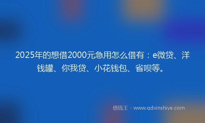 2025年的想借2000元急用怎么借有：e微贷、洋钱罐、你我贷、小花钱包、省呗等。