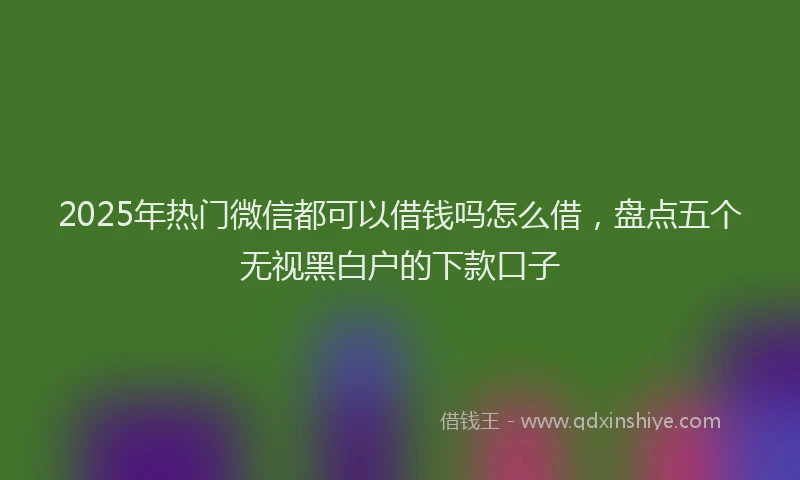 2025年热门微信都可以借钱吗怎么借，盘点五个无视黑白户的下款口子