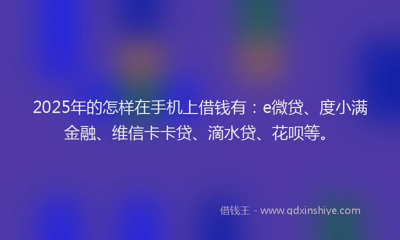2025年的怎样在手机上借钱有：e微贷、度小满金融、维信卡卡贷、滴水贷、花呗等。