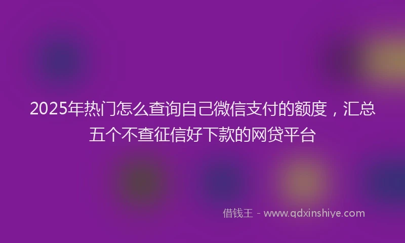 2025年热门怎么查询自己微信支付的额度，汇总五个不查征信好下款的网贷平台