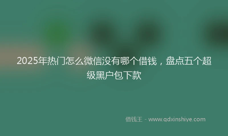 2025年热门怎么微信没有哪个借钱，盘点五个超级黑户包下款