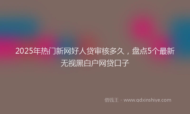 2025年热门新网好人贷审核多久，盘点5个最新无视黑白户网贷口子