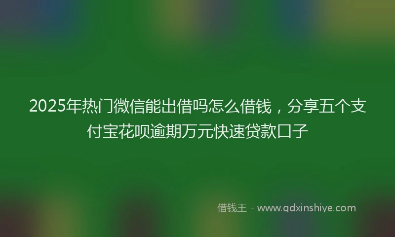2025年热门微信能出借吗怎么借钱，分享五个支付宝花呗逾期万元快速贷款口子