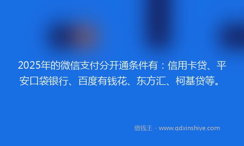 2025年的微信支付分开通条件有：信用卡贷、平安口袋银行、百度有钱花、东方汇、柯基贷等。