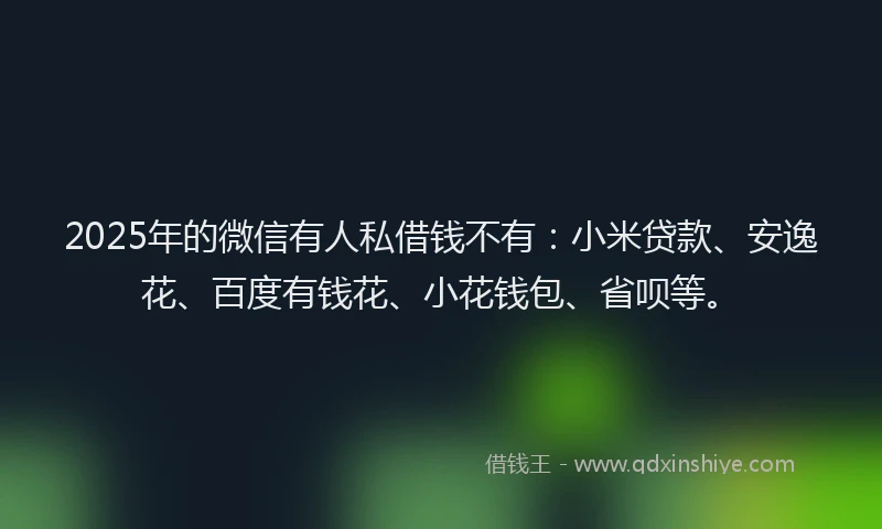 2025年的微信有人私借钱不有：小米贷款、安逸花、百度有钱花、小花钱包、省呗等。