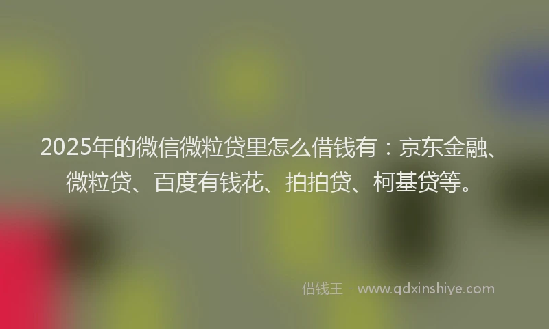 2025年的微信微粒贷里怎么借钱有：京东金融、微粒贷、百度有钱花、拍拍贷、柯基贷等。