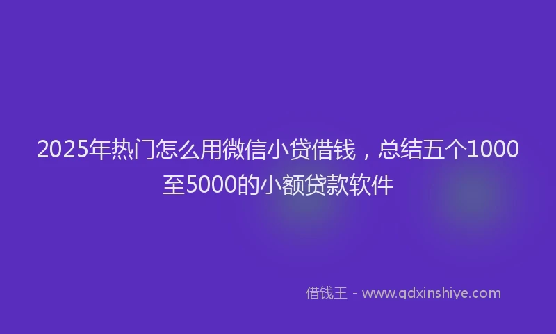 2025年热门怎么用微信小贷借钱，总结五个1000至5000的小额贷款软件