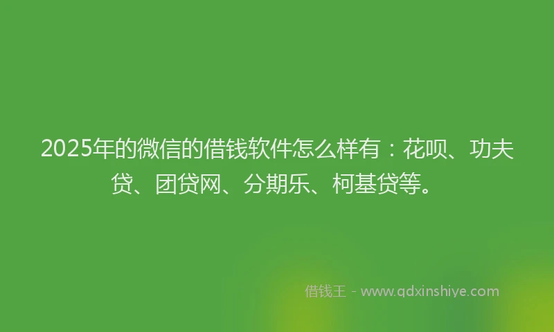 2025年的微信的借钱软件怎么样有：花呗、功夫贷、团贷网、分期乐、柯基贷等。