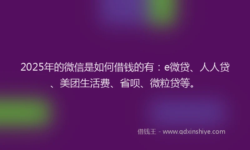 2025年的微信是如何借钱的有：e微贷、人人贷、美团生活费、省呗、微粒贷等。