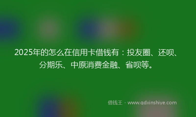 2025年的怎么在信用卡借钱有：投友圈、还呗、分期乐、中原消费金融、省呗等。