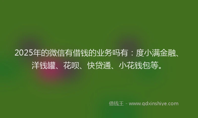 2025年的微信有借钱的业务吗有：度小满金融、洋钱罐、花呗、快贷通、小花钱包等。