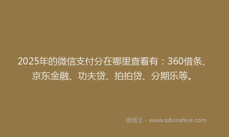 2025年的微信支付分在哪里查看有：360借条、京东金融、功夫贷、拍拍贷、分期乐等。