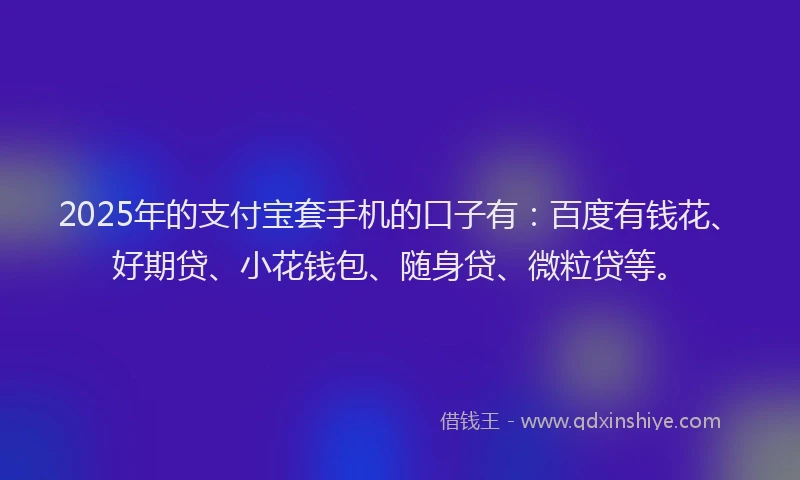 2025年的支付宝套手机的口子有：百度有钱花、好期贷、小花钱包、随身贷、微粒贷等。