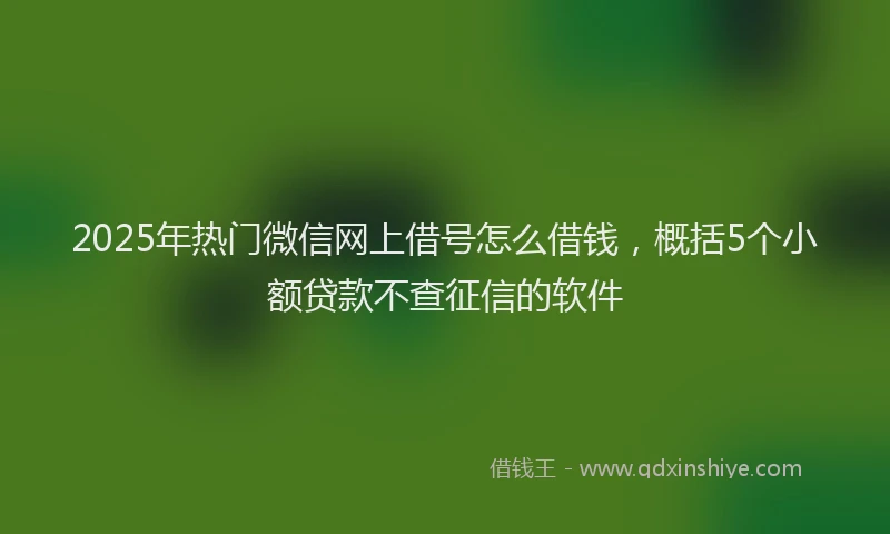 2025年热门微信网上借号怎么借钱，概括5个小额贷款不查征信的软件