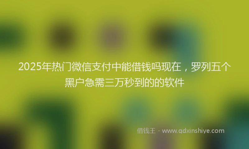 2025年热门微信支付中能借钱吗现在，罗列五个黑户急需三万秒到的的软件