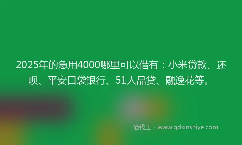 2025年的急用4000哪里可以借有：小米贷款、还呗、平安口袋银行、51人品贷、融逸花等。