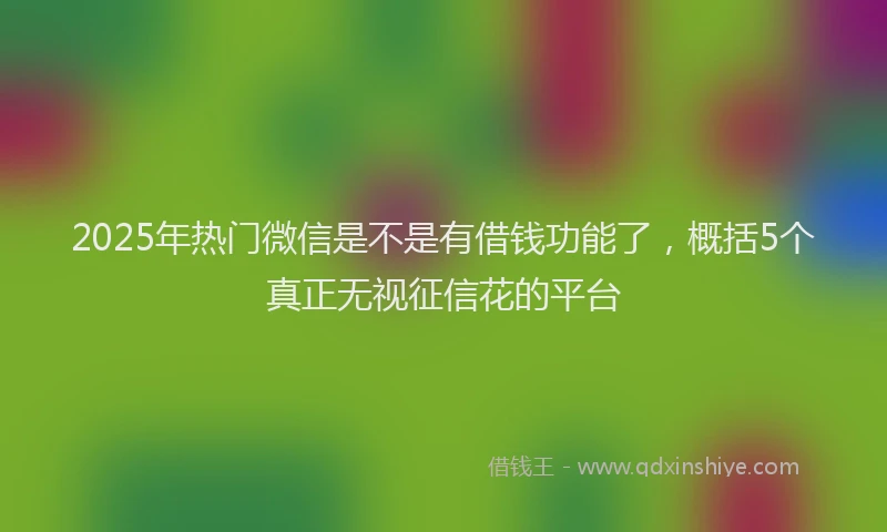 2025年热门微信是不是有借钱功能了，概括5个真正无视征信花的平台