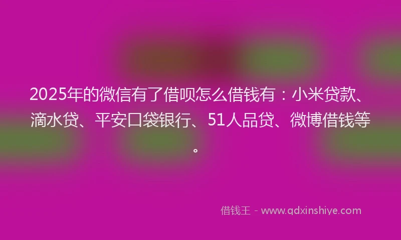 2025年的微信有了借呗怎么借钱有：小米贷款、滴水贷、平安口袋银行、51人品贷、微博借钱等。
