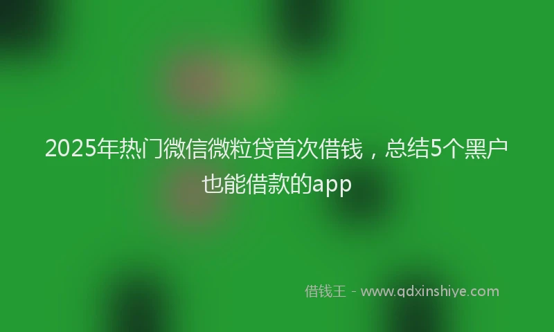 2025年热门微信微粒贷首次借钱，总结5个黑户也能借款的app