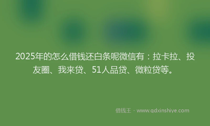 2025年的怎么借钱还白条呢微信有：拉卡拉、投友圈、我来贷、51人品贷、微粒贷等。