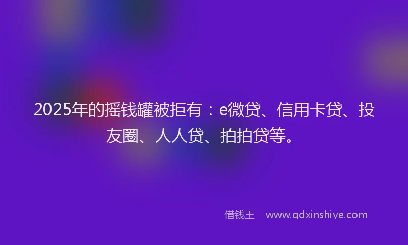 2025年的摇钱罐被拒有：e微贷、信用卡贷、投友圈、人人贷、拍拍贷等。